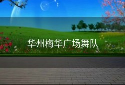 华州梅华广场舞队