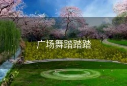 广场舞踏踏踏