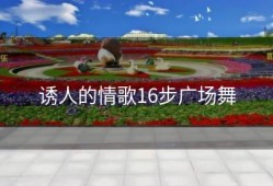 诱人的情歌16步广场舞