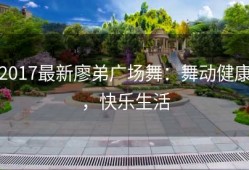 2017最新廖弟广场舞：舞动健康，快乐生活