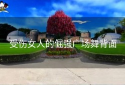 受伤女人的倔强广场舞背面