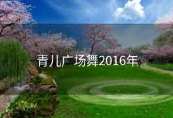 青儿广场舞2016年