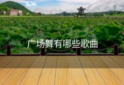 广场舞有哪些歌曲
