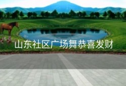 山东社区广场舞恭喜发财