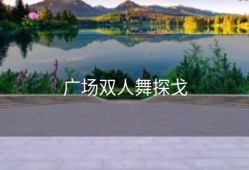 广场双人舞探戈