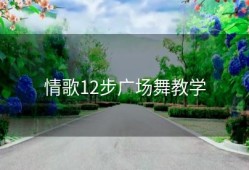情歌12步广场舞教学