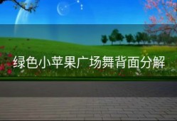 绿色小苹果广场舞背面分解
