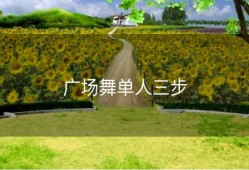 广场舞单人三步