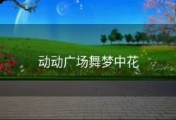 动动广场舞梦中花