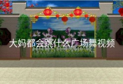 大妈都会跳什么广场舞视频