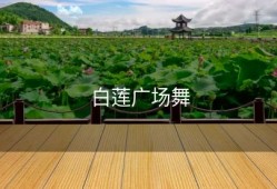 白莲广场舞