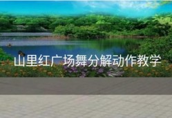 山里红广场舞分解动作教学