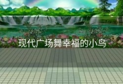 现代广场舞幸福的小鸟