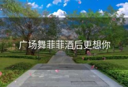 广场舞菲菲酒后更想你