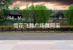 雪花飞舞广场舞阿采