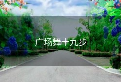 广场舞十九步