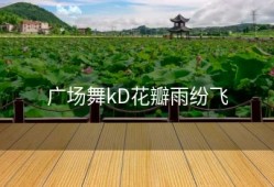 广场舞kD花瓣雨纷飞