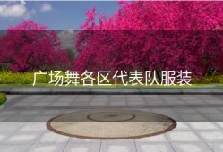 广场舞各区代表队服装