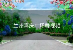 兰州喜庆广场舞视频