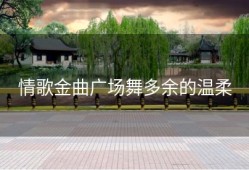 情歌金曲广场舞多余的温柔