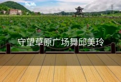 守望草原广场舞邱美玲