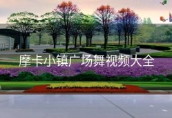 摩卡小镇广场舞视频大全