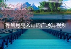 等到月亮入睡的广场舞视频