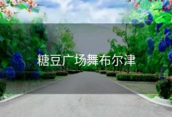 糖豆广场舞布尔津