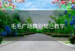 毛毛广场舞别知己教学