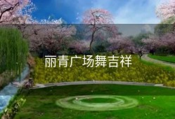 丽青广场舞吉祥