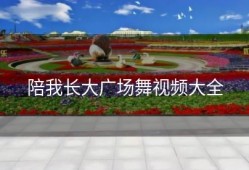 陪我长大广场舞视频大全