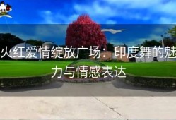火红爱情绽放广场：印度舞的魅力与情感表达