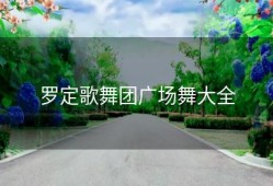 罗定歌舞团广场舞大全