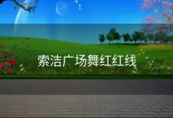 索洁广场舞红红线