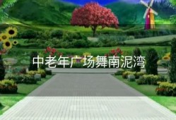 中老年广场舞南泥湾