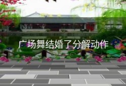 广场舞结婚了分解动作