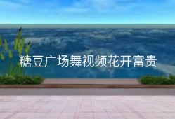 糖豆广场舞视频花开富贵