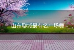 山东聊城最有名广场舞