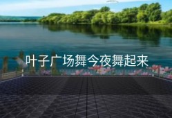 叶子广场舞今夜舞起来