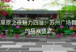 草原之夜魅力四溢：苏州广场舞的狂欢盛宴