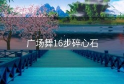 广场舞16步碎心石