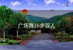 广场舞16步双人