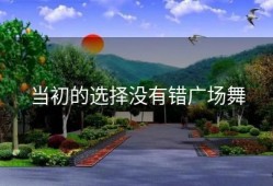 当初的选择没有错广场舞