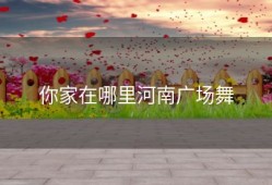 你家在哪里河南广场舞