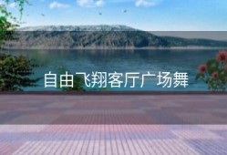 自由飞翔客厅广场舞