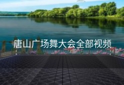 唐山广场舞大会全部视频