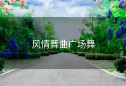 风情舞曲广场舞
