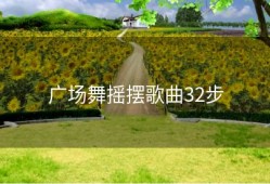 广场舞摇摆歌曲32步