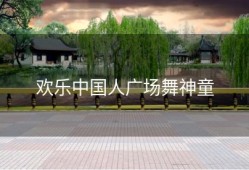 欢乐中国人广场舞神童
