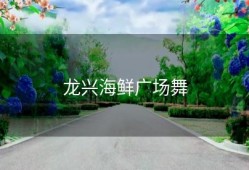 龙兴海鲜广场舞